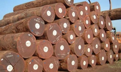 「木材进口报关」进口木材报关的文件及其报关的操作流程详情