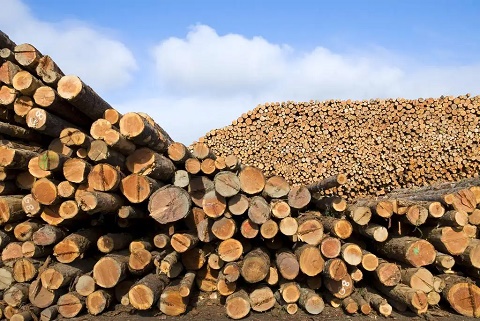 进口清关|常见的木材进口清关所需要的单证包含濒危证吗？